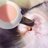 Pet Nail Clipper Cutter