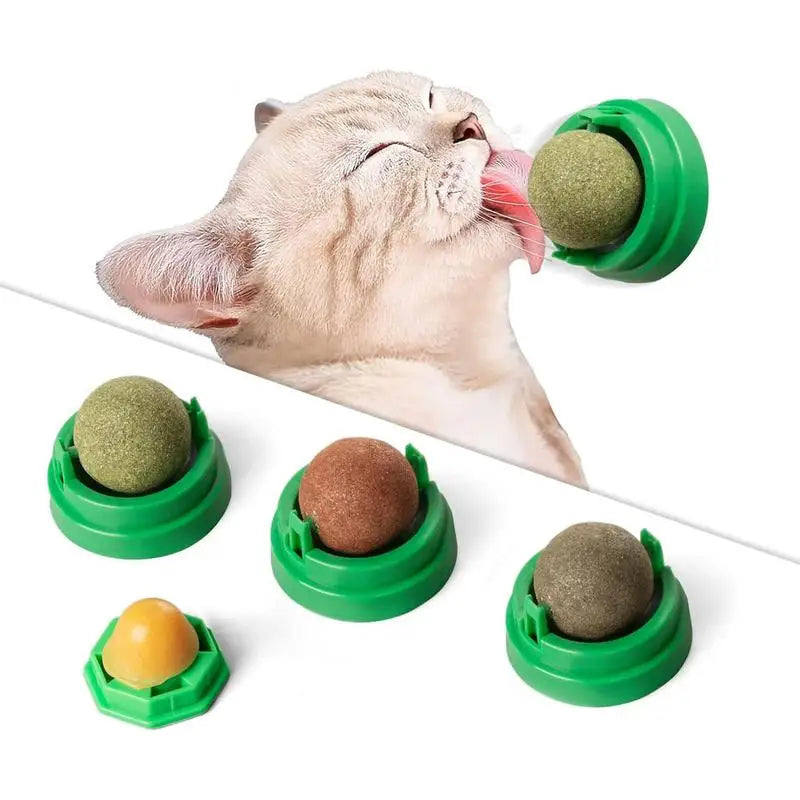 Premium Catnip Balls for Cats