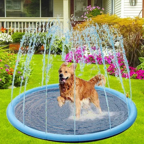 Dog Splash Pads for Summer