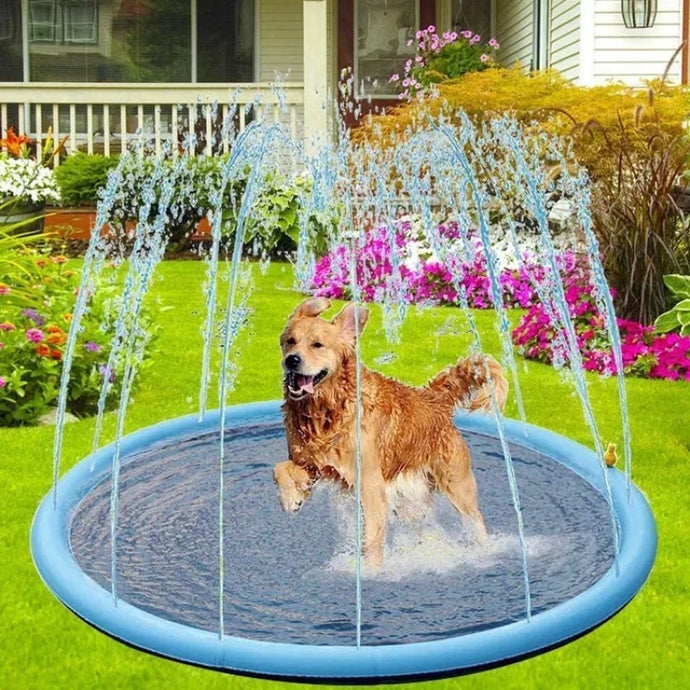 Dog Splash Pads for Summer